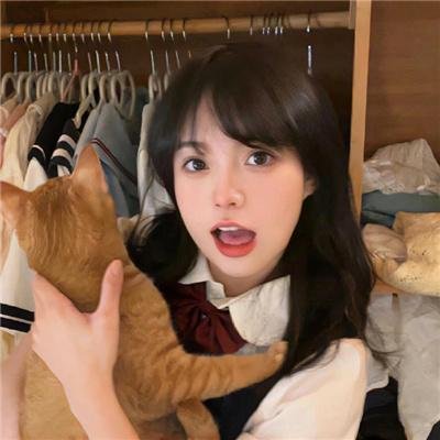 黑猫鲁道夫